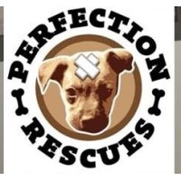 Perfection Rescues