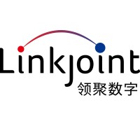Zhejiang LinkJoint Digital Technology Co., Ltd logo - Similar company to Digitalstar.Ca