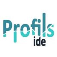 PROFILS IDE logo - Similar company to Hengli France Sas