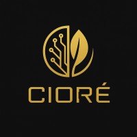 Cioré logo - Similar company to Washington County Government - Arkansas