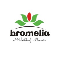 Bromelia Indah logo - Similar company to Bromelia