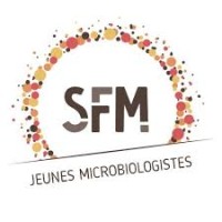 Section Jeunes Microbiologistes SFM logo - Similar company to Syndicat Des Internes En Pharmacie Et Biologie Médicale Des Hôpitaux D'Île-De-France (Siphif)