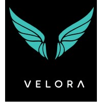 Velora Sync logo - Similar company to Ncore