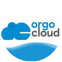 Orgocloud Enterprises Private Limited - Digital Marketing Agency That Drives Results logo - Similar company to Evil Tech Pvt Ltd