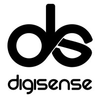 digisense logo - Similar company to Nfactorial Consulting