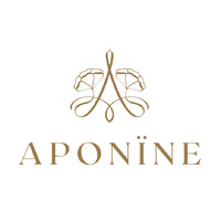 Aponine logo - Similar company to Hospitaliy Consulting