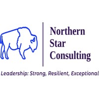 Northern Star Consulting logo - Similar company to Shark-Wise