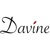 Davine logo - Similar company to World Wide Solutions,Llc