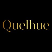 Quelhue Wine and Delis logo - Similar company to Raquis