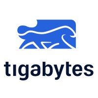 Tigabytes_BR logo - Similar company to Santodigital