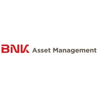 BNK Asset Management logo - Similar company to Polaris Developments Group