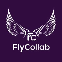 Fly Collab, LLC logo - Similar company to Nextis Solutions, Inc.