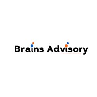 Brains Advisory logo - Similar company to Mocx Smart Technologies Ltd.