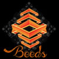 Beeds - Marketing e Gestão de Produtos logo - Similar company to Bluebeefy -  Marketing E Soluções Digitais