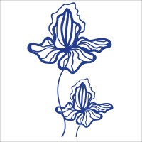 Lagcher Consultancy