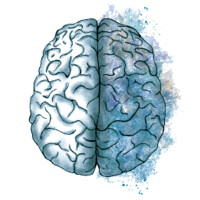 CEREBETIA | Centro de Psicología logo - Similar company to Implica Psicologia