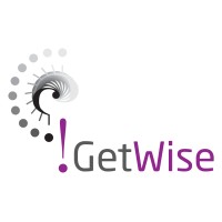 GetWise Market Research logo - Similar company to Insight Advantage