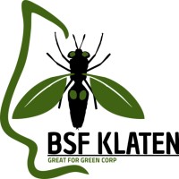 BSF Klaten logo - Similar company to Employment 4 Students