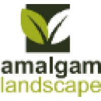 Amalgam Landscape
