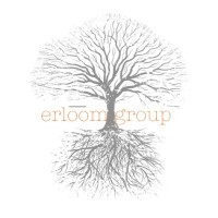 Erloom Group logo - Similar company to Satya Capital Llc