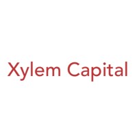 Xylem Capital logo - Similar company to Xylemx Impact Ventures