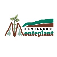 Semillero Monteplant logo - Similar company to Frutas Rocalla S.L.