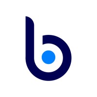 Blue BI logo - Similar company to Bluebi Solution