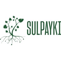 SULPAYKI logo - Similar company to Forctis Ag