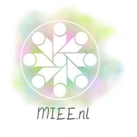 MIEE logo - Similar company to Iiui Schools, Latifabad Campus