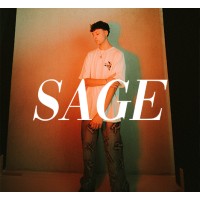SAGE logo - Similar company to Ninja Software