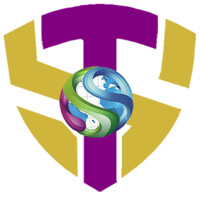 SkyTechNG Integrated Services logo - Similar company to Glintplus