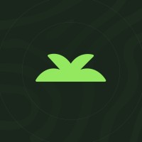 Yungle Webflow Experts logo - Similar company to Webbb Studio - Webflow Premium Partner