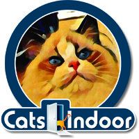 Catsindoor - Clínica Veterinária Especializada em Gatos 24h logo - Similar company to Raihsa Ltda - Plm, Iot, Servitização, Ar