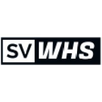 SV WEB HOSTING SOLUTIONS logo - Similar company to Bigbirdweb
