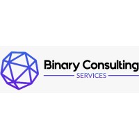 Binary Consulting Services logo - Similar company to Liveroute