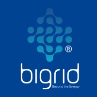 Bigrid logo - Similar company to Cheapfy