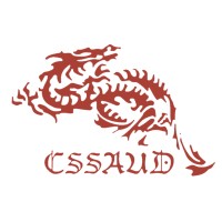 Chinese Students and Scholars Association, Undergraduate Department logo