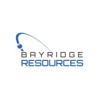 Bayridge Resources (🇨🇦 CSE: BYRG | 🇺🇸 OTC: BYRRF | 🇩🇪 FSE: O0K) logo - Similar company to Oscorp Technology Inc