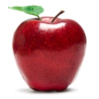 Pleasanton Tutoring