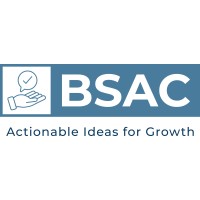 Briminc Saarthi Advisory & Consulting logo - Similar company to Eudaitec Gmbh