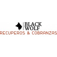 Black Wolf Recuperos & Cobranzas SAC logo - Similar company to Improve Servicios De Personal S.A- Director Punto De Cambio
