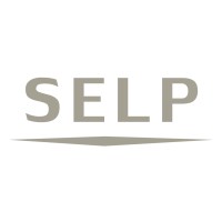 SELP Solutions Spain logo - Similar company to Guild Wars 2 Spain