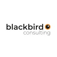 blackbird consulting GmbH logo - Similar company to Holism Gmbh