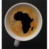 Travels with Sara logo - Similar company to Travels With Audrey