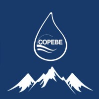 COPEBE SAC logo - Similar company to Copebi