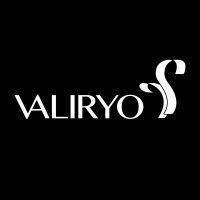 Valiryo Portugal logo - Similar company to Valiryo Gmbh
