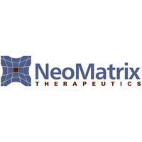 NeoMatrix Therapeutics, Inc. logo - Similar company to Cornerstone Technology Solutions
