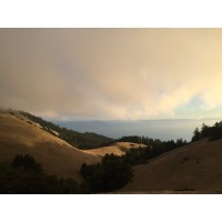 Practice.Place - Integrative Wellness