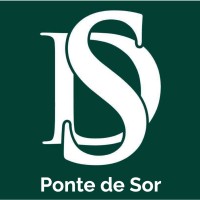 DECISÕES E SOLUÇÕES PONTE DE SOR logo - Similar company to Geração Inovar - Associação De Jovens De Ponte De Sor