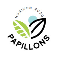 Papillons Horizon 2020 logo - Similar company to Analytical Marketing Solution